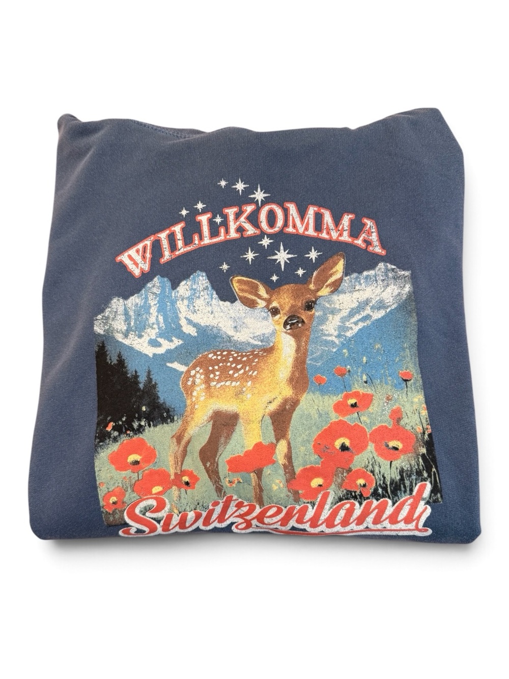 URBAN OUTFITTERS Willkomma Switzerland Graphic Hoodie